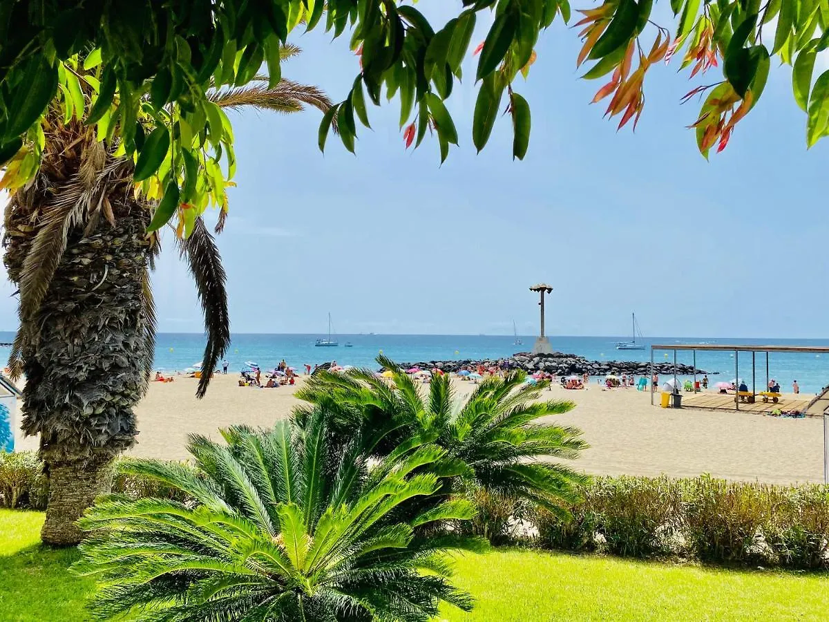 San Marino Relax Apartment Los Cristianos  Los Cristianos (Tenerife)